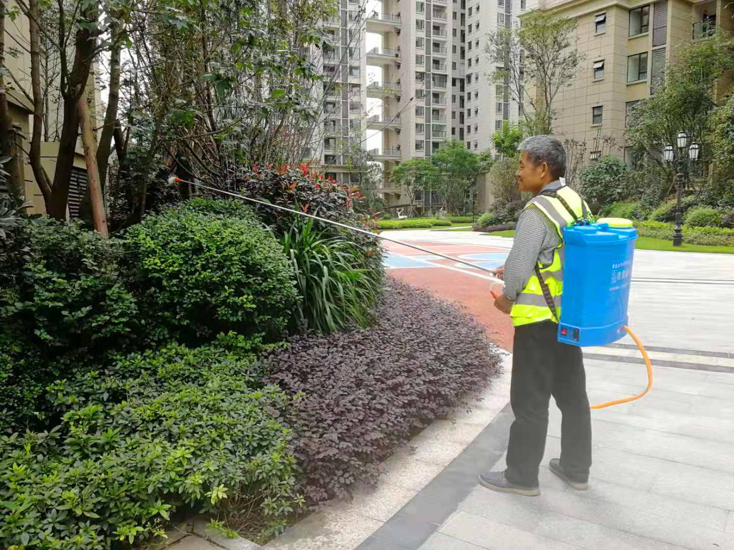 園林綠化養護并不難，也沒有想象中那么容易